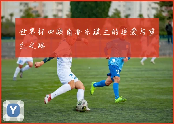 世界杯回顾南非东道主的逆袭与重生之路